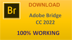 Adobe Bridge 2025: Ai Cũng Cài Đặt Được