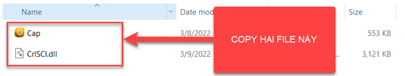 Mở thư mục cài đặt và dán 2 file đã copy vào để kích hoạt phần mềm