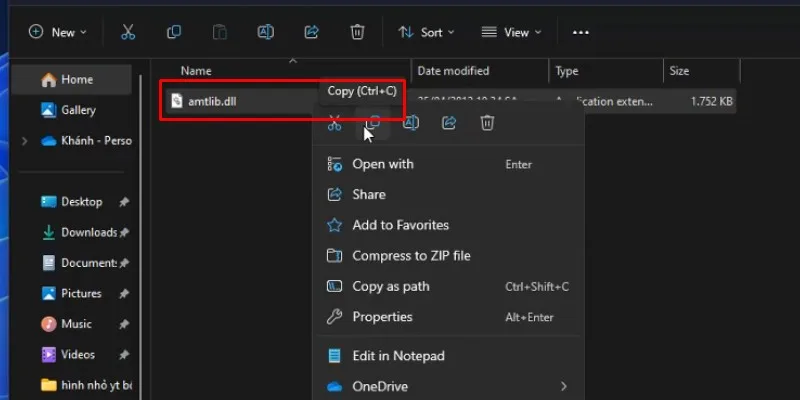 coppy file như hình nha