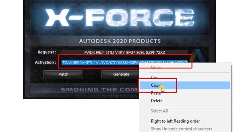 3Ds Max 2020: Hướng Dẫn Tải, Cài Đặt & Thủ Thuật Mới Nhất 29 Copy dòng Activetion như hình
