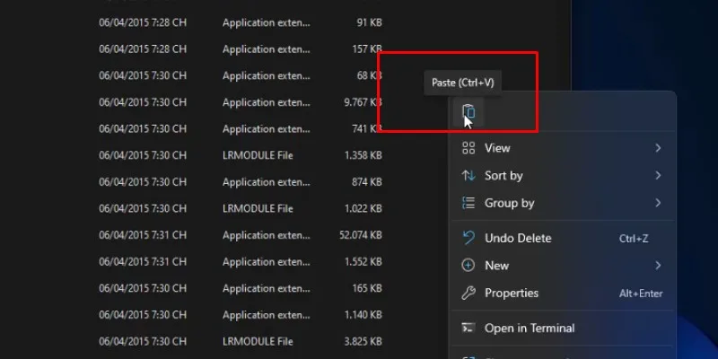 Lightroom CS6 Hướng Dẫn Cài Đặt Chi Tiết 24 Paste vào đây như hình